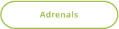 Adrenals