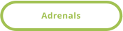 Adrenals